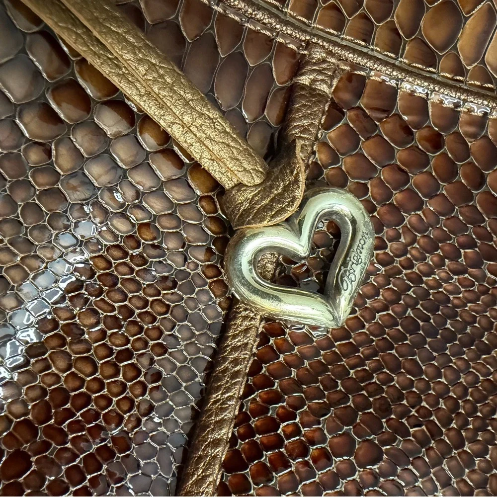 Brighton Leather Hobo Purse